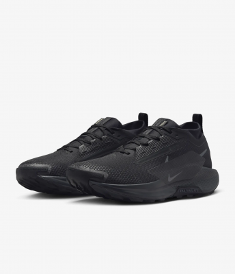 나이키 페가수스 트레일 5 GORE-TEX 여성 런닝화 운동화 FQ0912-002