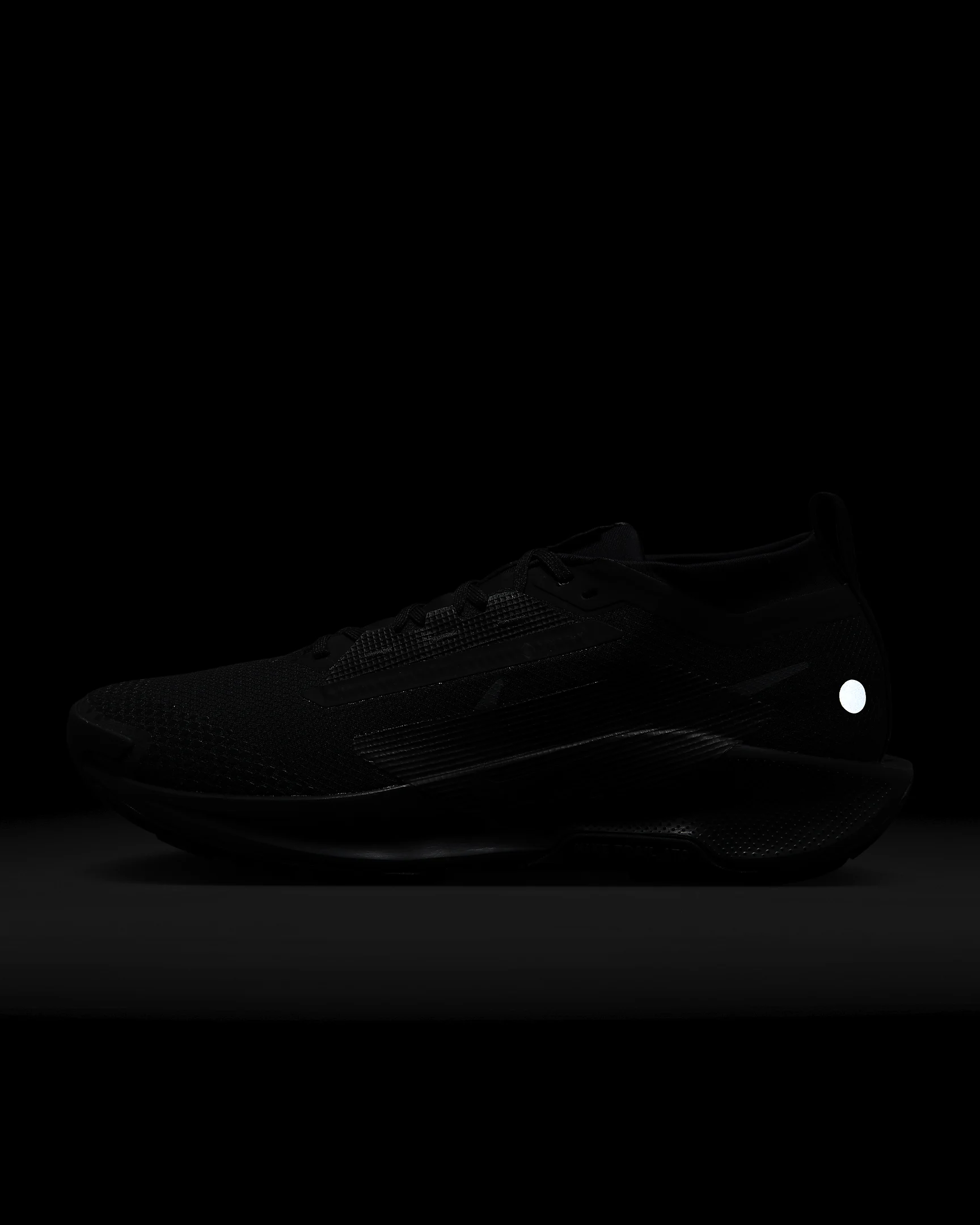 나이키 페가수스 트레일 5 GORE-TEX 여성 런닝화 운동화 FQ0912-002